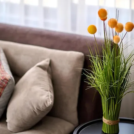 La Vida Loca Summerland شقة